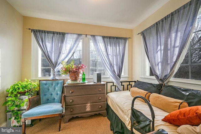 bedroom featuring carpet floors