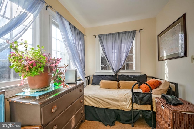 bedroom featuring multiple windows and carpet