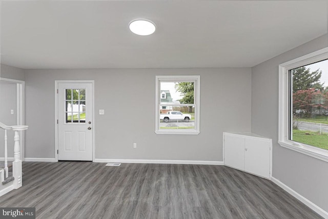 foyer entrance featuring dark wood-type flooring