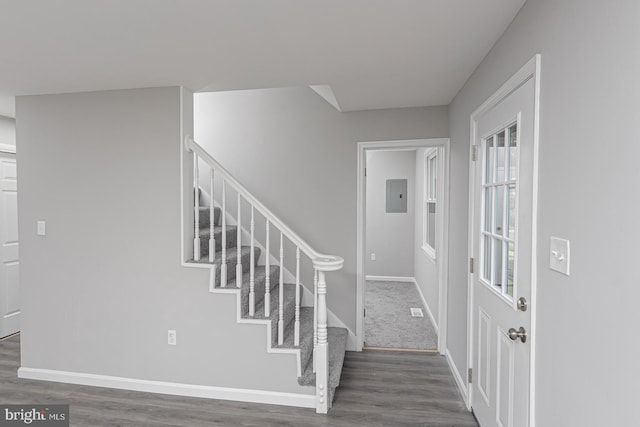 entryway with electric panel and dark hardwood / wood-style floors