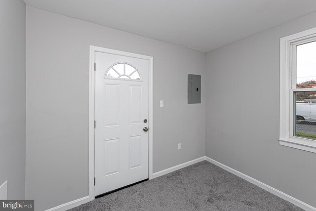 foyer entrance featuring carpet floors, plenty of natural light, and electric panel