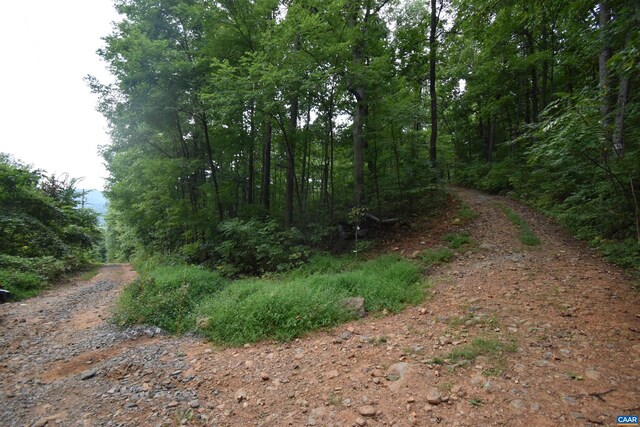 12 Old Mountain Rd Unit 12, Stanardsville, VA 22973