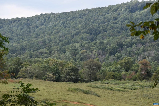12 Old Mountain Rd Unit 12, Stanardsville, VA 22973