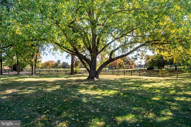 view of yard featuring a rural view