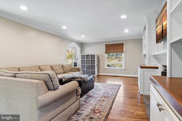 living room featuring ornamental molding and dark wood-type flooring