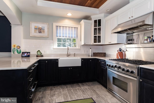 kitchen featuring high end stove, sink, white cabinets, and backsplash