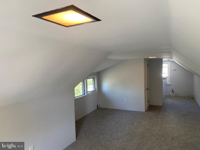 bonus room featuring carpet and vaulted ceiling