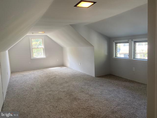 additional living space with a healthy amount of sunlight, carpet flooring, and vaulted ceiling