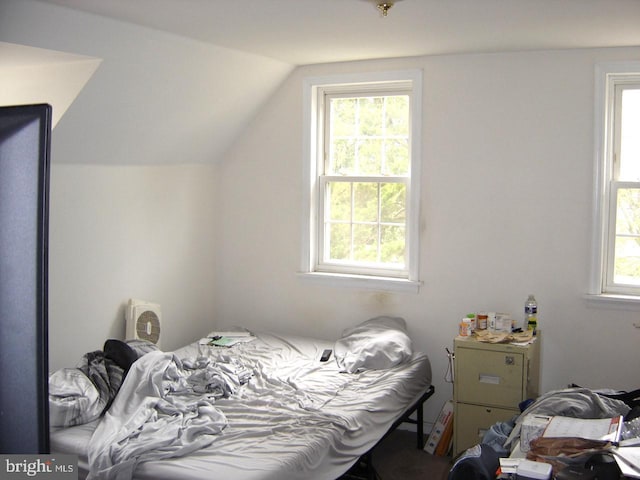 bedroom with multiple windows and vaulted ceiling