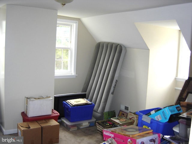 bonus room featuring carpet flooring and lofted ceiling