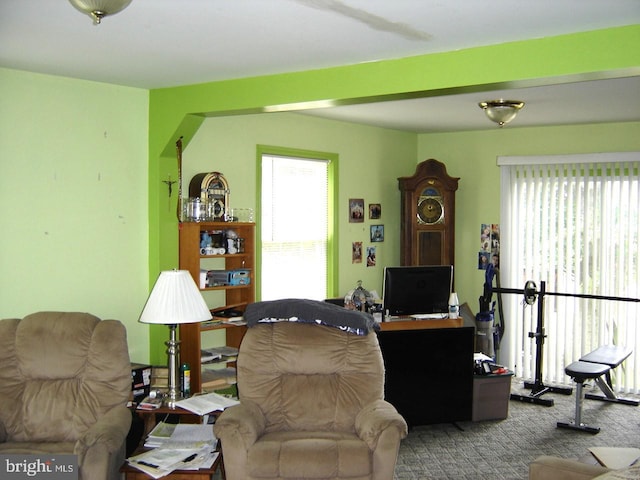 view of carpeted living room