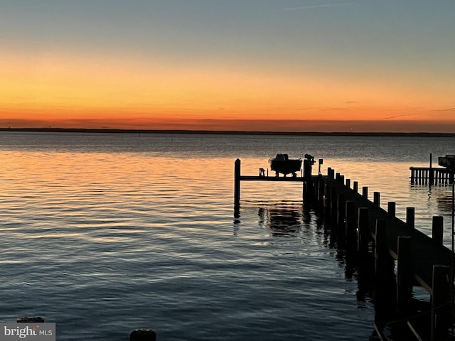 dock area with a water view