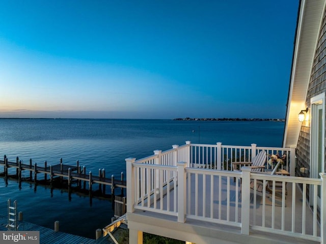 dock area with a water view