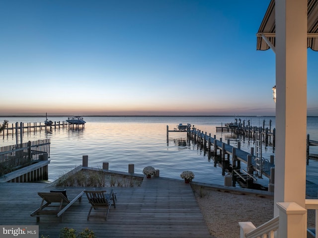 dock area with a water view