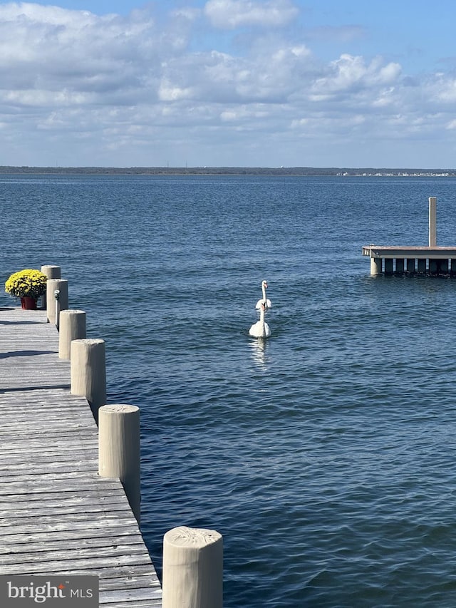 view of dock with a water view