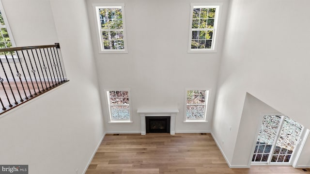 living room featuring a towering ceiling and light hardwood / wood-style flooring