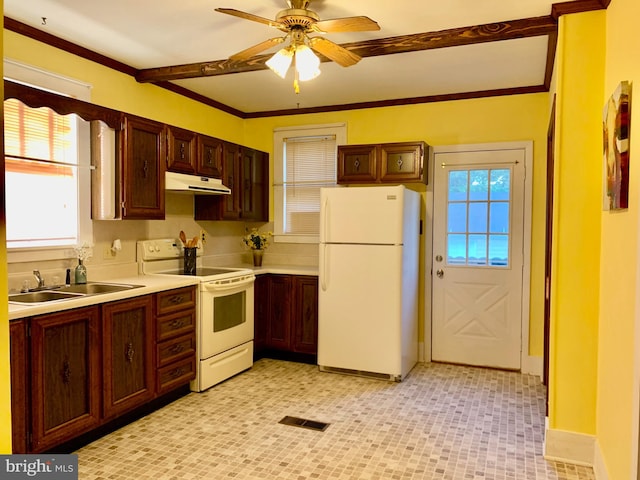 kitchen featuring crown molding, ceiling fan, white appliances, and sink