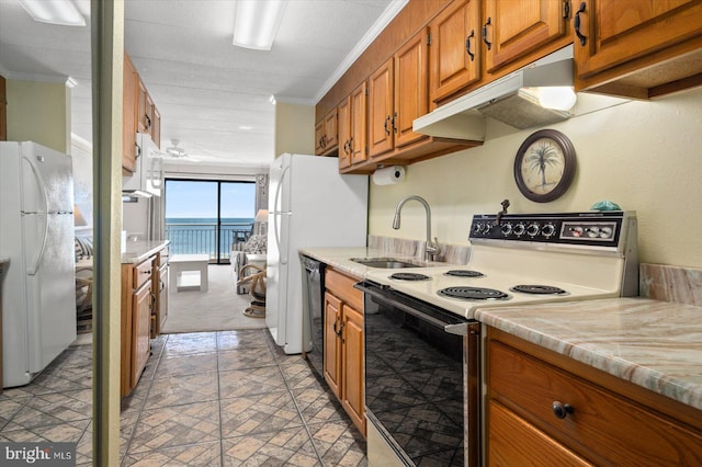 kitchen with white appliances, sink, a water view, crown molding, and light colored carpet