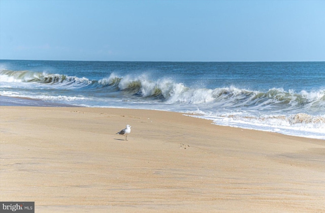 view of water feature with a beach view