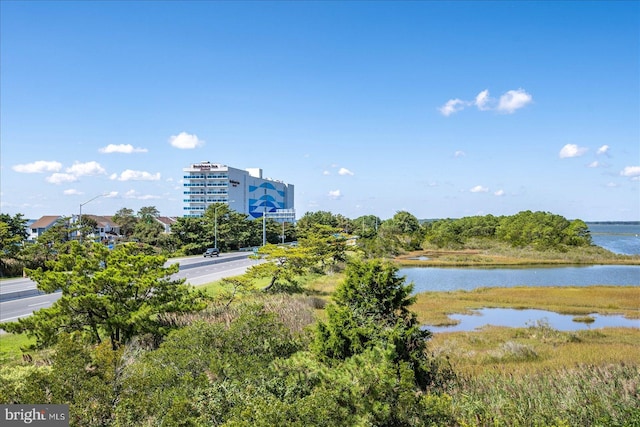 property view of water