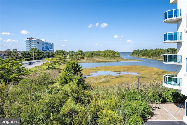 property view of water