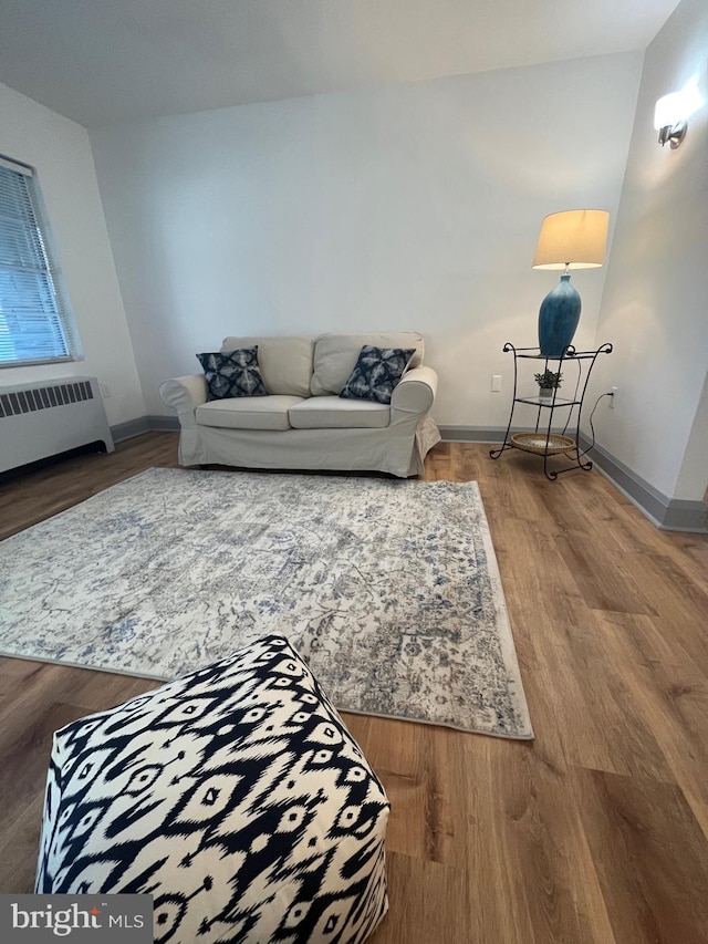 living room featuring wood-type flooring and radiator