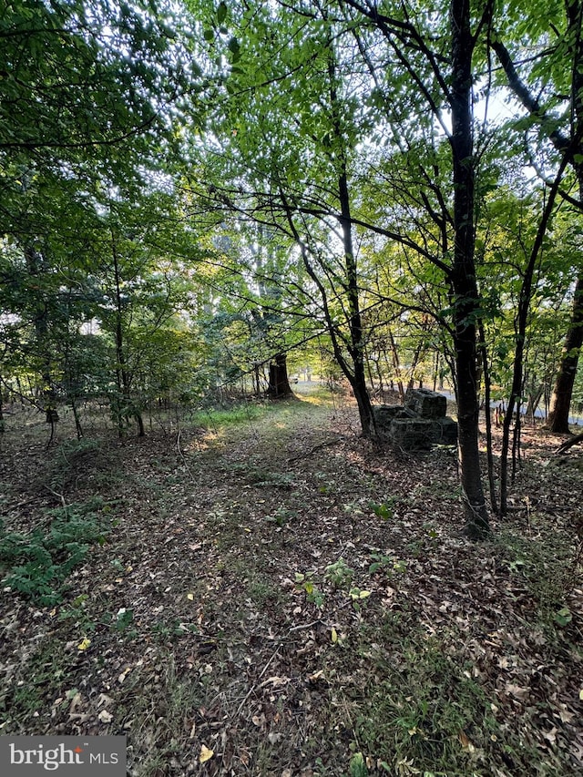 Brant Rd, Cresaptown MD, 21502 land for sale