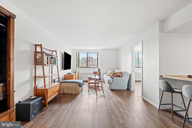 living room featuring hardwood / wood-style flooring