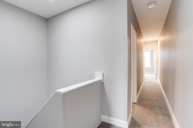 hallway with carpet floors