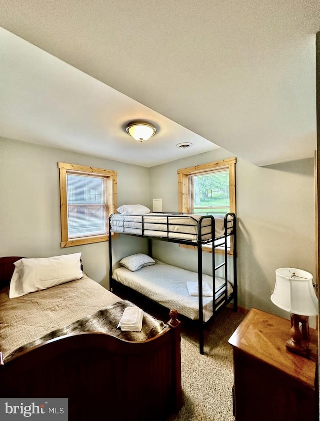 carpeted bedroom with multiple windows