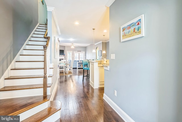 staircase featuring ceiling fan, crown molding, and hardwood / wood-style floors