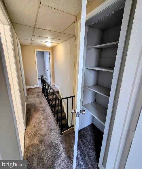 interior space with a drop ceiling and carpet