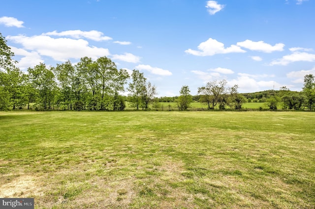 view of yard featuring a rural view