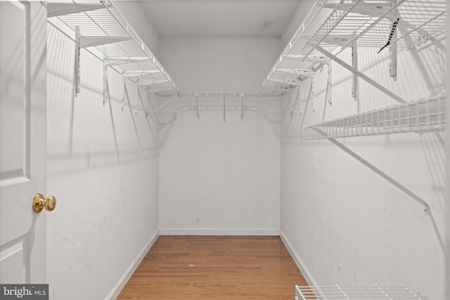 spacious closet with wood-type flooring