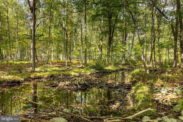 view of local wilderness featuring a water view