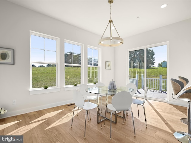 dining space featuring light wood-type flooring