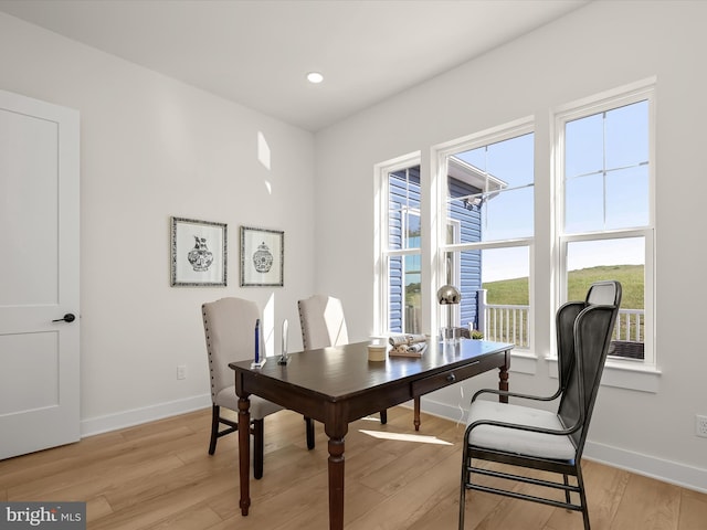 dining room with light hardwood / wood-style flooring