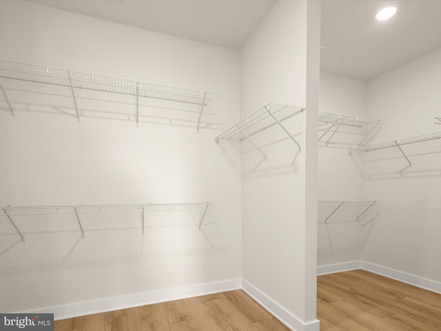 walk in closet with hardwood / wood-style floors