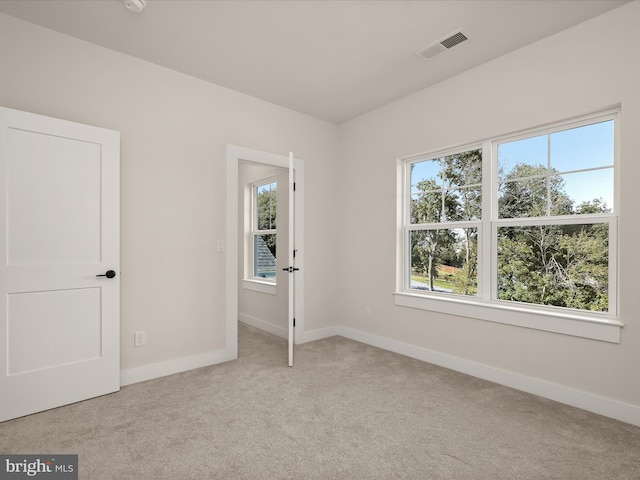 spare room featuring a wealth of natural light and light colored carpet