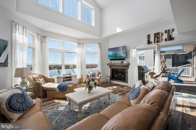 living room with high vaulted ceiling and hardwood / wood-style flooring