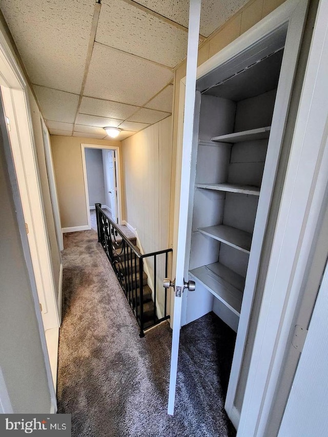 interior space featuring carpet flooring and a drop ceiling