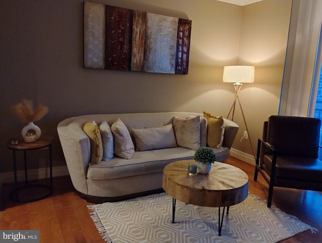 living room featuring hardwood / wood-style flooring