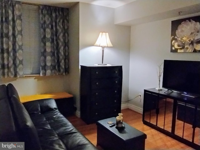 living room featuring wood-type flooring