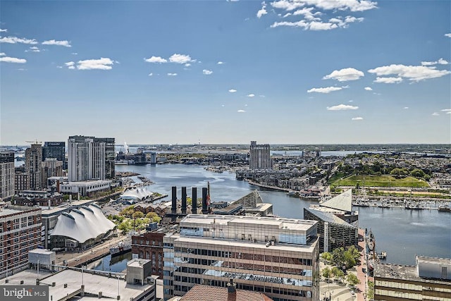 bird's eye view with a water view