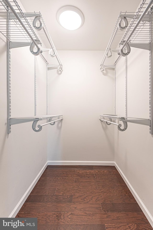 spacious closet featuring dark hardwood / wood-style floors