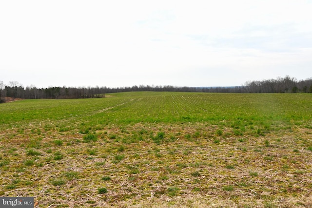 view of local wilderness featuring a rural view