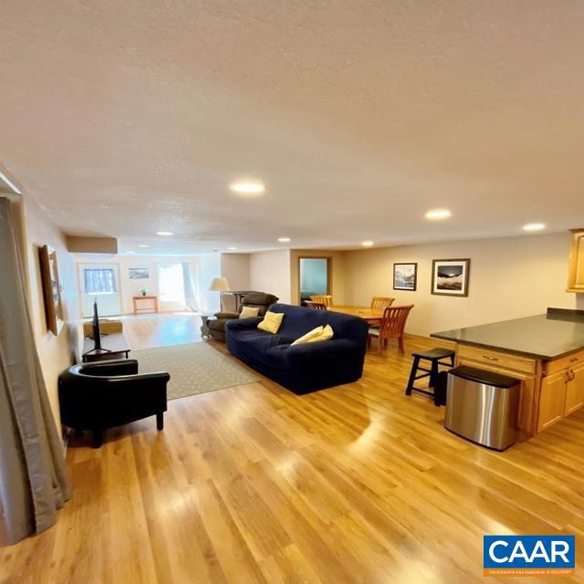 living room with light wood-type flooring