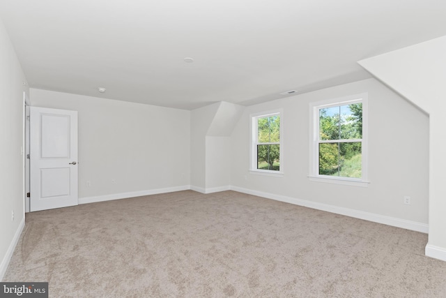 additional living space with light carpet