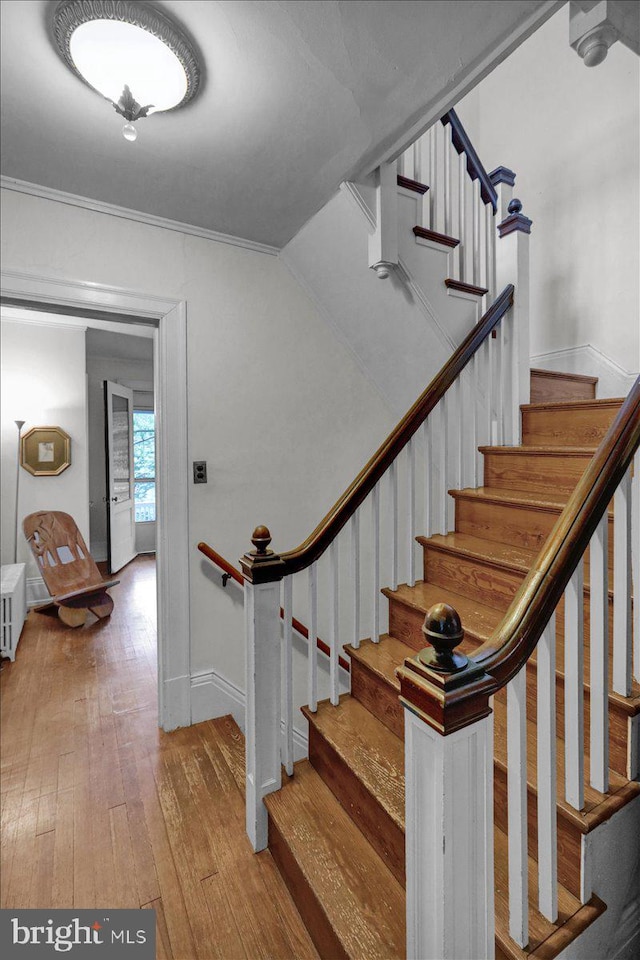 stairs featuring crown molding and hardwood / wood-style floors