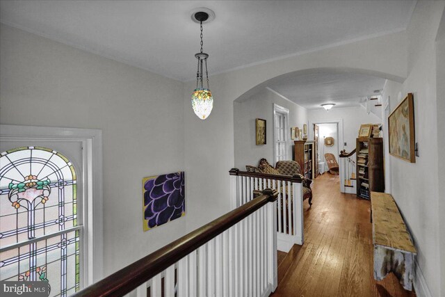 corridor featuring hardwood / wood-style floors